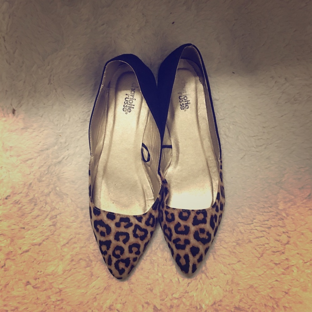 Cheetah Flats